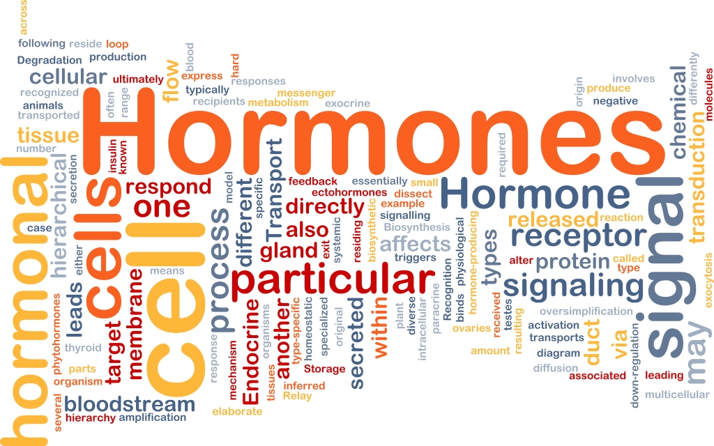 hormonok-magasvérnyomás