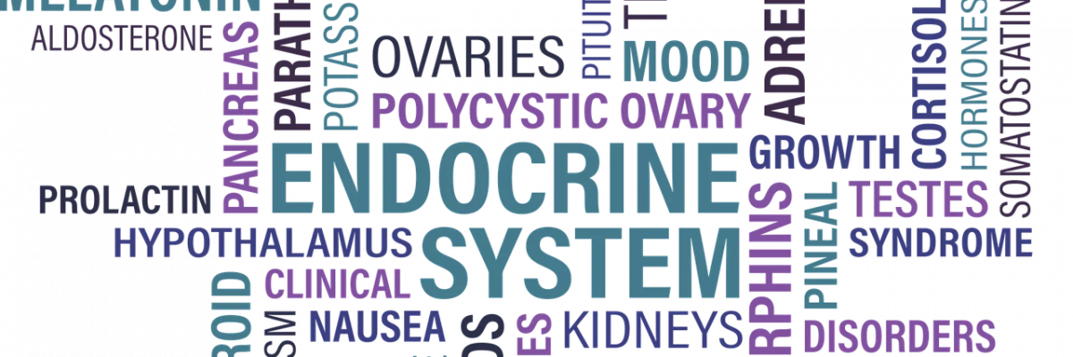 Tudjon meg mindent az endokrin rendszer zavarairól