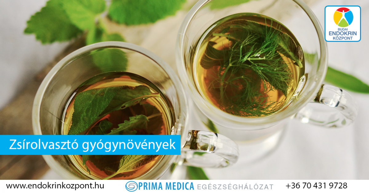 természetes gyógynövények a fogyás tea)
