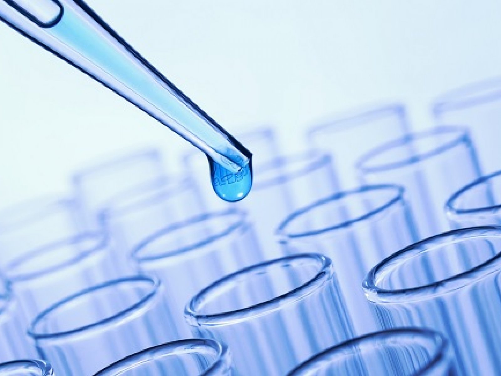 Hormonális rendszer