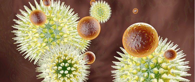 Immuno-endokrinológia