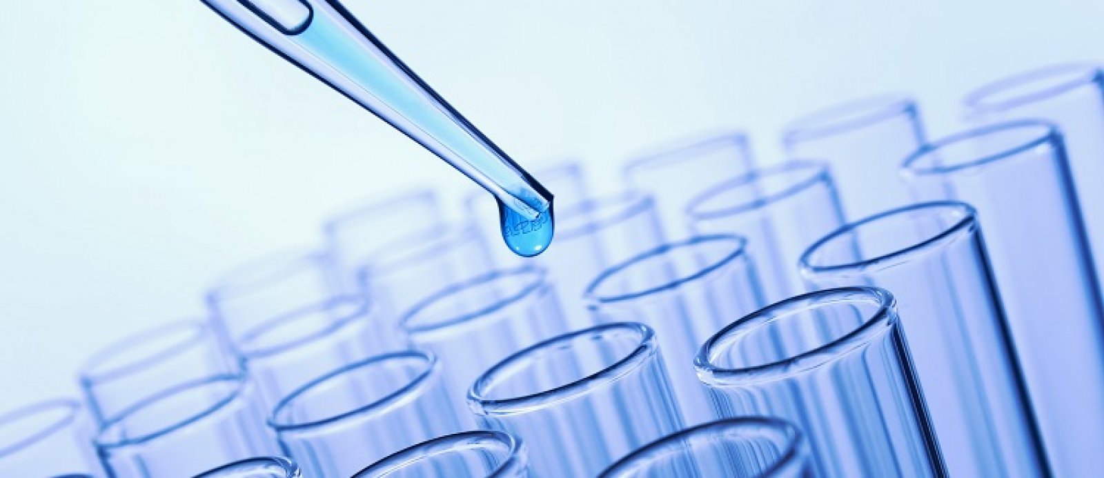 Hormonális rendszer