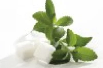 Gyógyuljon és fogyjon steviával