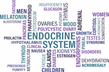 Tudjon meg mindent az endokrin rendszer zavarairól