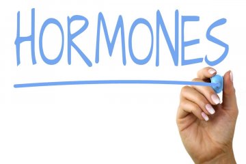 Mit okoz a túl sok inzulin a női nemi hormonok szintjében?