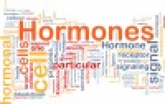 Hormonzavar is állhat a magasvérnyomás hátterében