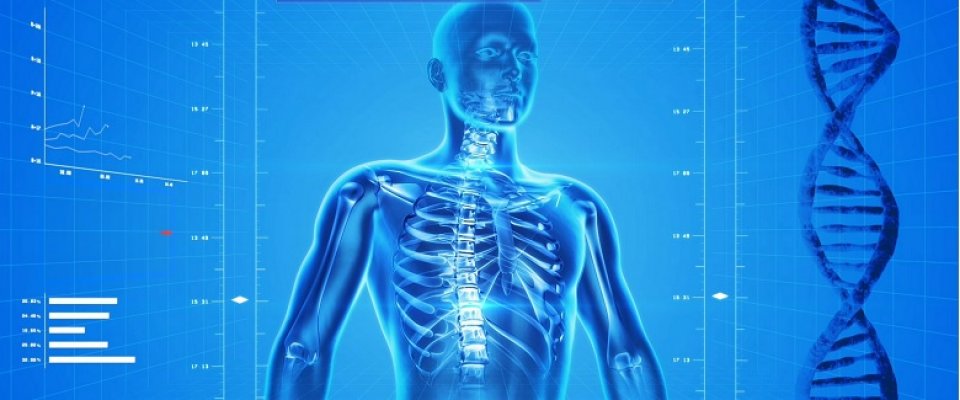 hogyan kell kezelni a csípőízület osteoporosisát