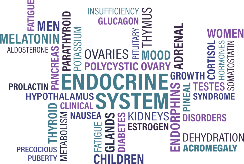 endokrin rendszer zavarai