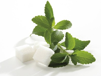 stevia cukorbetegség)